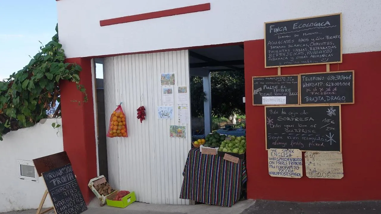 Finca Brujita Del Drago - Authentic Canarian Homestead Spain