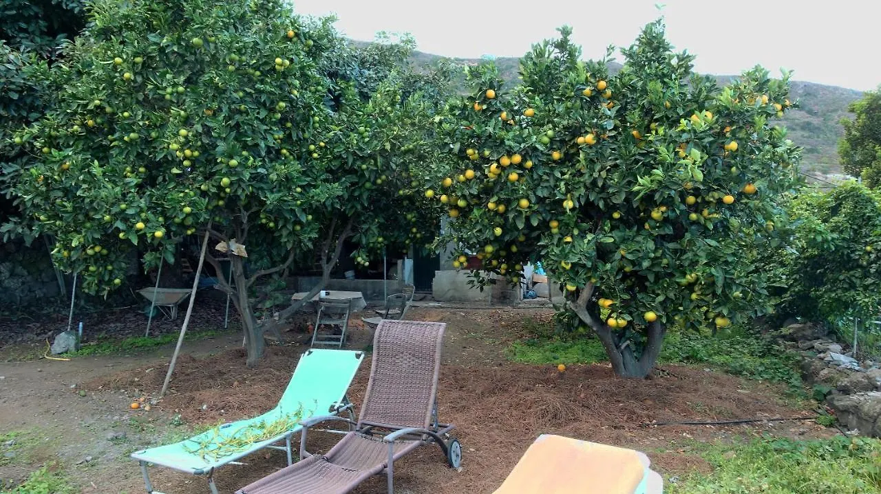 Finca Brujita Del Drago - Authentic Canarian Homestead Icod De Los Vinos